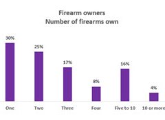 How many firearms in Kiwi households?